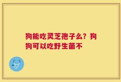 狗能吃灵芝孢子么？狗狗可以吃野生菌不
