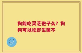 狗能吃灵芝孢子么？狗狗可以吃野生菌不