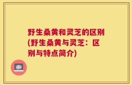 野生桑黄和灵芝的区别(野生桑黄与灵芝：区别与特点简介)