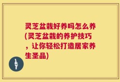 灵芝盆栽好养吗怎么养(灵芝盆栽的养护技巧，让你轻松打造居家养生圣品)