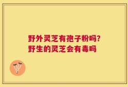 野外灵芝有孢子粉吗？野生的灵芝会有毒吗