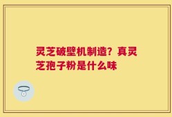 灵芝破壁机制造？真灵芝孢子粉是什么味