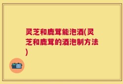 灵芝和鹿茸能泡酒(灵芝和鹿茸的酒泡制方法)
