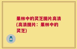 果林中的灵芝图片高清(高清图片：果林中的灵芝)