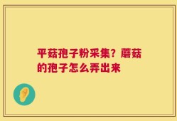 平菇孢子粉采集？蘑菇的孢子怎么弄出来