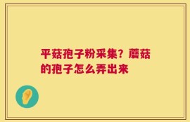 平菇孢子粉采集？蘑菇的孢子怎么弄出来