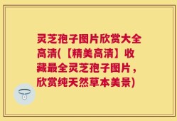 灵芝孢子图片欣赏大全高清(【精美高清】收藏最全灵芝孢子图片，欣赏纯天然草本美景)