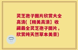 灵芝孢子图片欣赏大全高清(【精美高清】收藏最全灵芝孢子图片，欣赏纯天然草本美景)