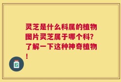 灵芝是什么科属的植物图片灵芝属于哪个科？了解一下这种神奇植物！