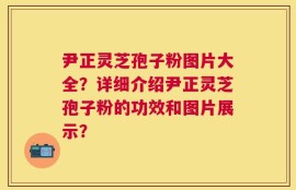 尹正灵芝孢子粉图片大全？详细介绍尹正灵芝孢子粉的功效和图片展示？