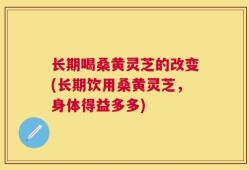 长期喝桑黄灵芝的改变(长期饮用桑黄灵芝，身体得益多多)