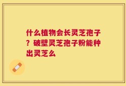 什么植物会长灵芝孢子？破壁灵芝孢子粉能种出灵芝么