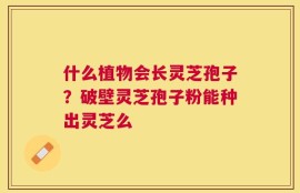 什么植物会长灵芝孢子？破壁灵芝孢子粉能种出灵芝么