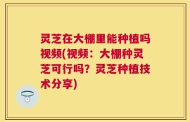 灵芝在大棚里能种植吗视频(视频：大棚种灵芝可行吗？灵芝种植技术分享)
