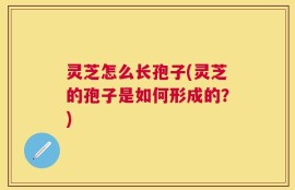 灵芝怎么长孢子(灵芝的孢子是如何形成的？)