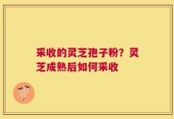 采收的灵芝孢子粉？灵芝成熟后如何采收