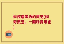 树疙瘩旁边的灵芝(树旁灵芝，一颗珍贵寻宝)