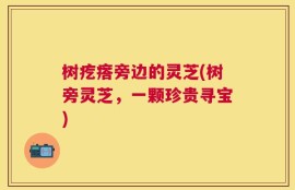 树疙瘩旁边的灵芝(树旁灵芝，一颗珍贵寻宝)