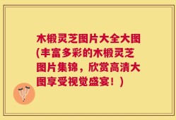木椴灵芝图片大全大图(丰富多彩的木椴灵芝图片集锦，欣赏高清大图享受视觉盛宴！)