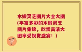 木椴灵芝图片大全大图(丰富多彩的木椴灵芝图片集锦，欣赏高清大图享受视觉盛宴！)