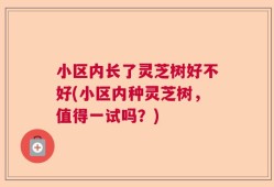小区内长了灵芝树好不好(小区内种灵芝树，值得一试吗？)