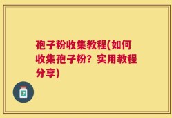孢子粉收集教程(如何收集孢子粉？实用教程分享)