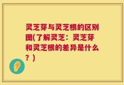 灵芝芽与灵芝根的区别图(了解灵芝：灵芝芽和灵芝根的差异是什么？)