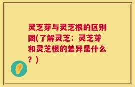 灵芝芽与灵芝根的区别图(了解灵芝：灵芝芽和灵芝根的差异是什么？)