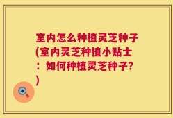 室内怎么种植灵芝种子(室内灵芝种植小贴士：如何种植灵芝种子？)