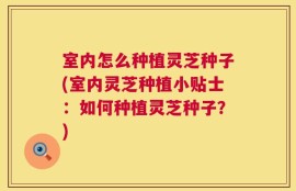 室内怎么种植灵芝种子(室内灵芝种植小贴士：如何种植灵芝种子？)