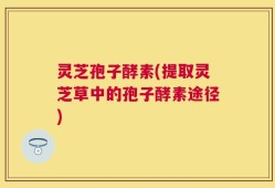 灵芝孢子酵素(提取灵芝草中的孢子酵素途径)