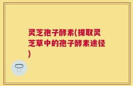 灵芝孢子酵素(提取灵芝草中的孢子酵素途径)