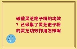 破壁灵芝跑子粉的功效？已采集了灵芝孢子粉的灵芝功效作用怎样呢