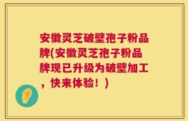 安徽灵芝破壁孢子粉品牌(安徽灵芝孢子粉品牌现已升级为破壁加工，快来体验！)