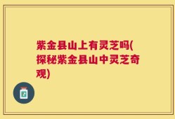 紫金县山上有灵芝吗(探秘紫金县山中灵芝奇观)