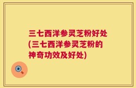 三七西洋参灵芝粉好处(三七西洋参灵芝粉的神奇功效及好处)