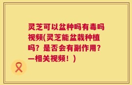 灵芝可以盆种吗有毒吗视频(灵芝能盆栽种植吗？是否会有副作用？—相关视频！)