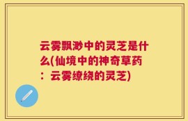 云雾飘渺中的灵芝是什么(仙境中的神奇草药：云雾缭绕的灵芝)