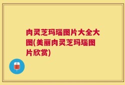 肉灵芝玛瑙图片大全大图(美丽肉灵芝玛瑙图片欣赏)