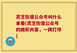 灵芝街道公众号叫什么来着(灵芝街道公众号的精彩内容，一网打尽)