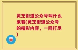 灵芝街道公众号叫什么来着(灵芝街道公众号的精彩内容，一网打尽)