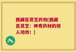 西藏百灵芝药效(西藏百灵芝：神奇药材的惊人功效！)