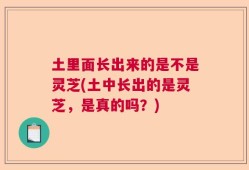 土里面长出来的是不是灵芝(土中长出的是灵芝，是真的吗？)