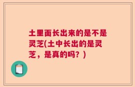 土里面长出来的是不是灵芝(土中长出的是灵芝，是真的吗？)