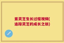 紫灵芝生长过程视频(追踪灵芝的成长之旅)
