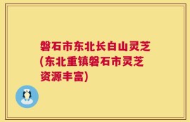 磐石市东北长白山灵芝(东北重镇磐石市灵芝资源丰富)