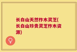 长白山天然柞木灵芝(长白山珍贵灵芝柞木资源)