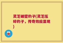 灵芝破壁豹子(灵芝压碎豹子，传奇效应显现)