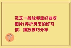 灵芝一般放哪里好些呀图片(养护灵芝的好习惯：摆放技巧分享