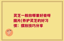 灵芝一般放哪里好些呀图片(养护灵芝的好习惯：摆放技巧分享